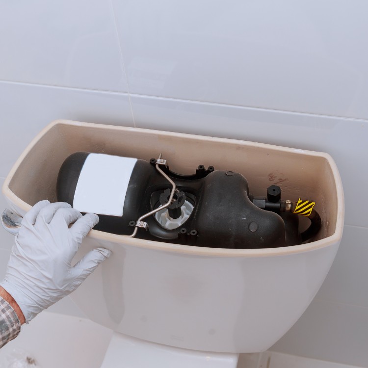 Home Improvement in Pleasanton, CA